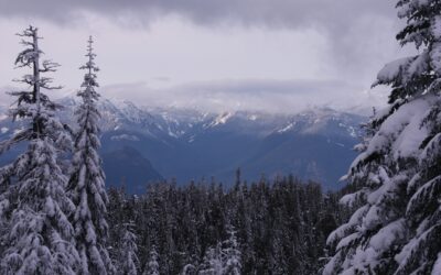 The Hidden Hum of a Mid-Winter’s Day